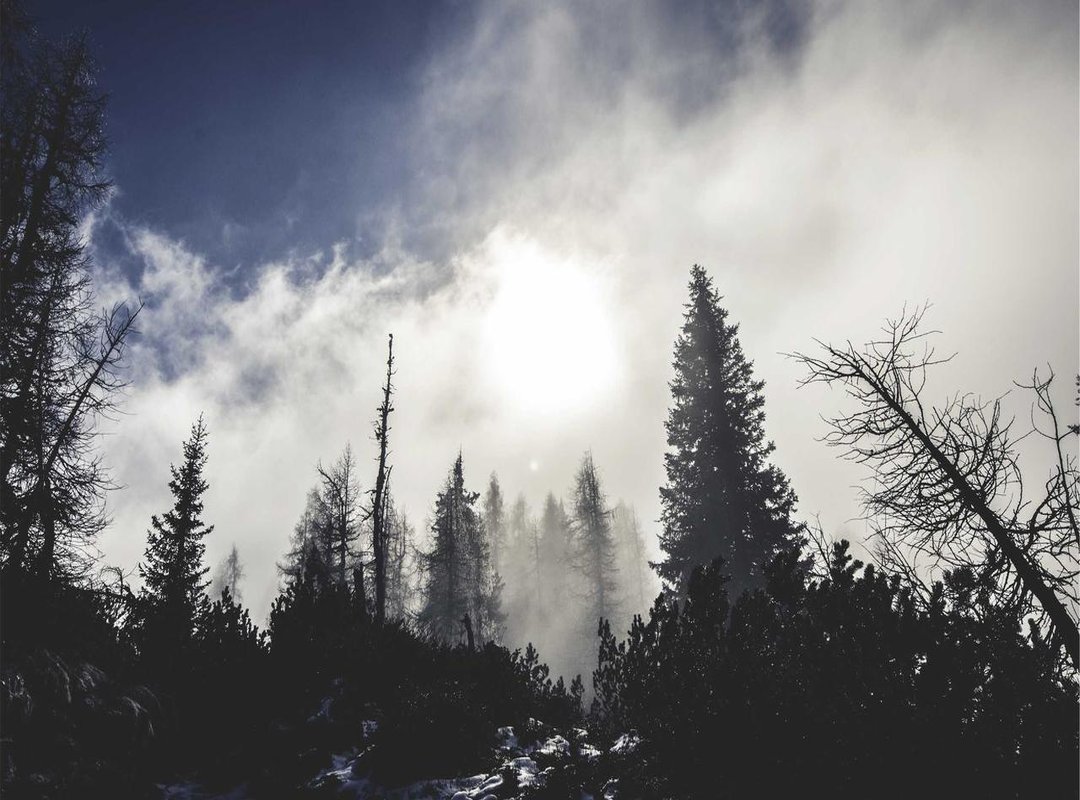 Real-World Scenarios: Where You'll Encounter the UF in Chile