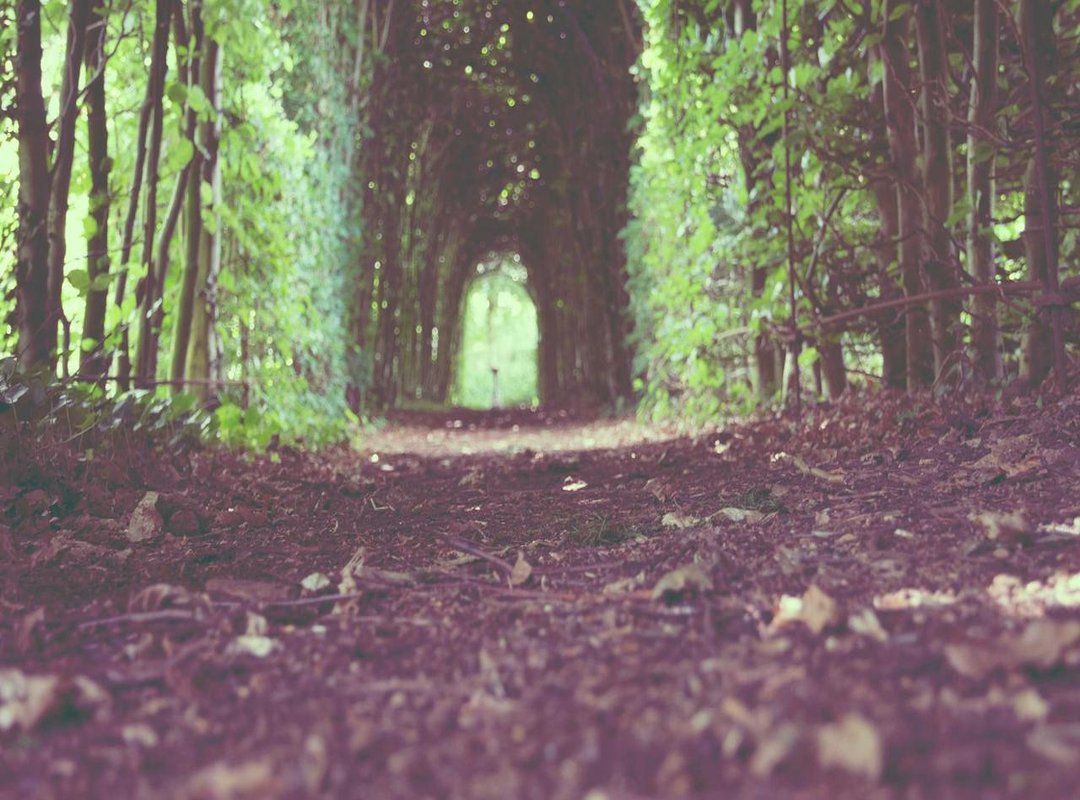 Critical Safety Checklist: How to Avoid Scams and Bans