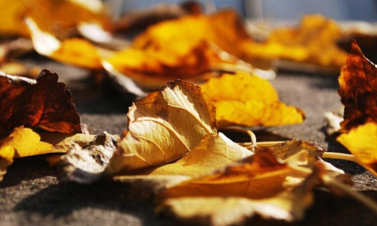 best beach resorts jexptravel