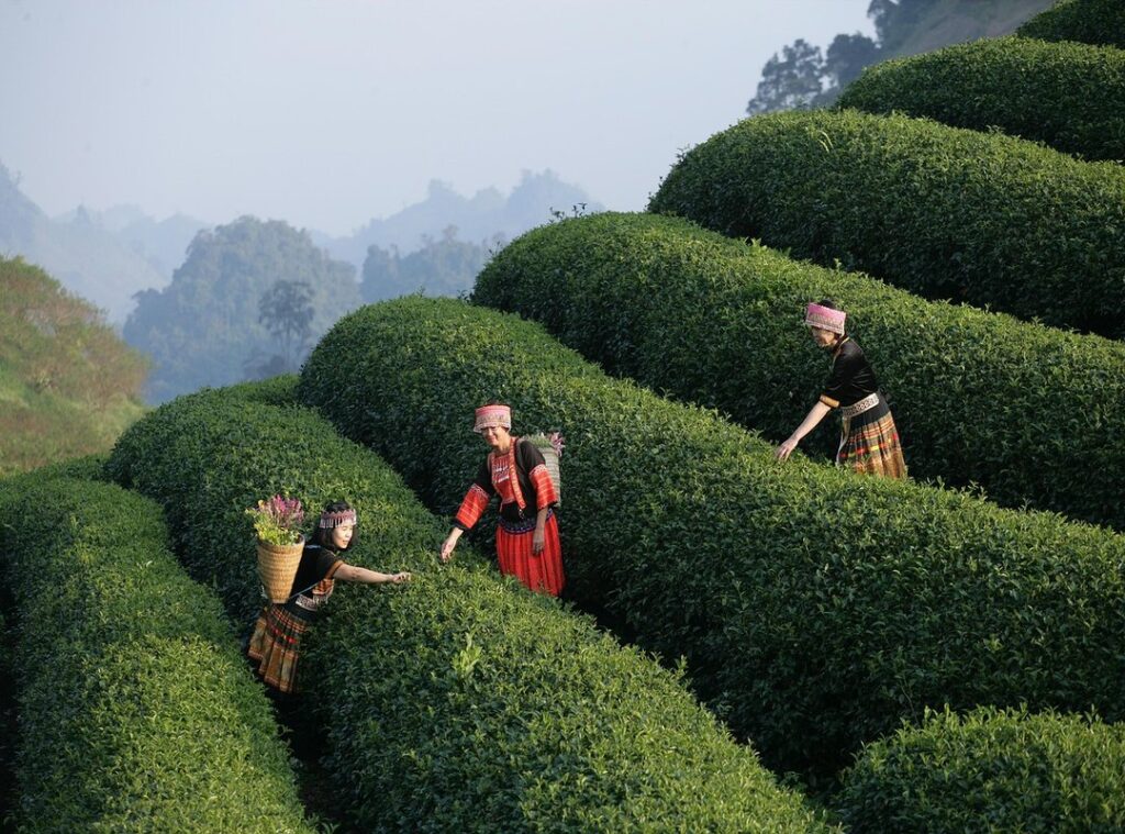 budget travel eating tips