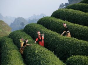 budget travel eating tips