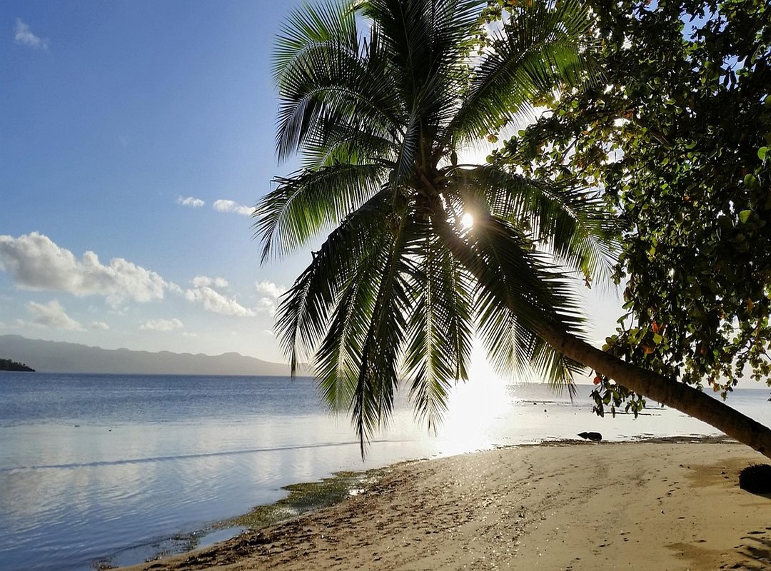 Fiji travel guide