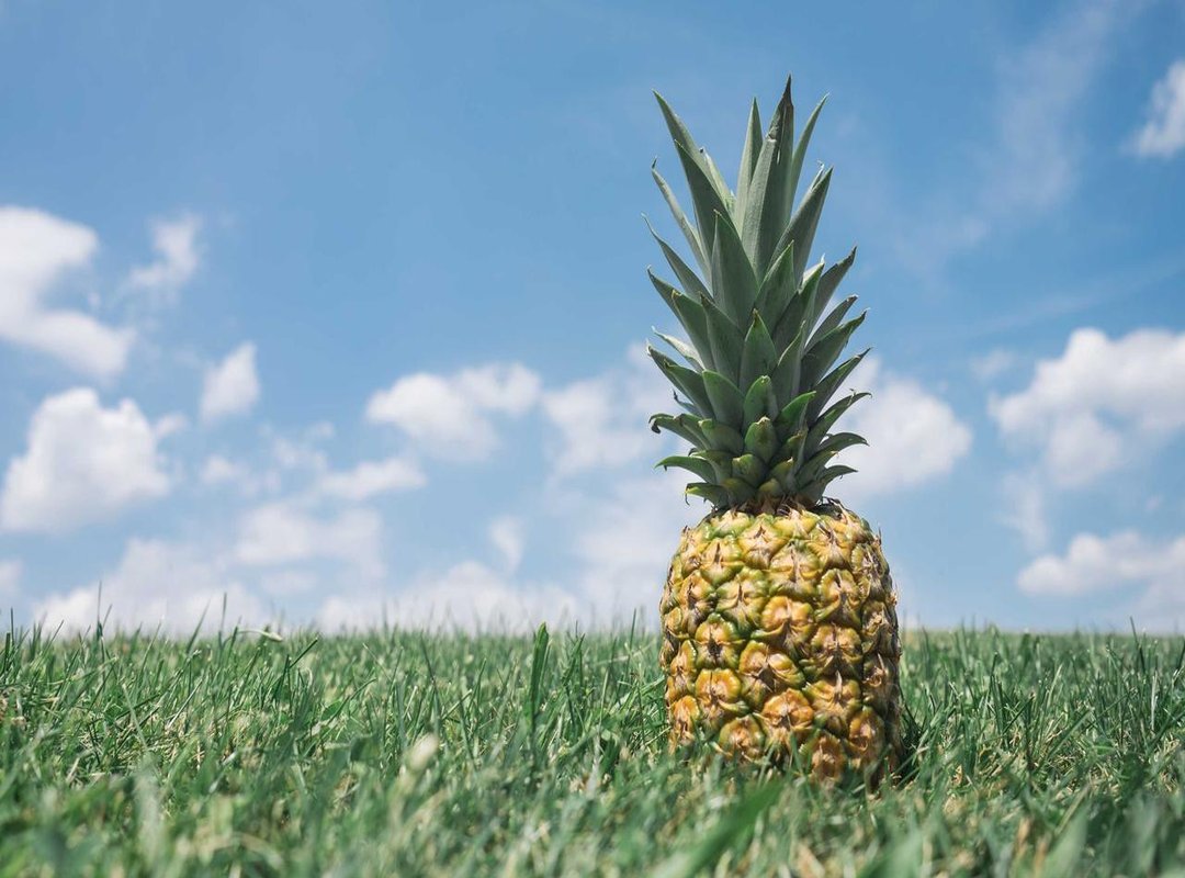 Music as Medicine: How the Experience Shaped His Life and Art