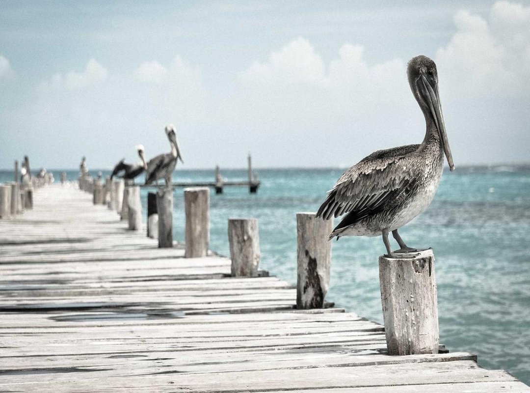 Pricing Context: Cost of Watching John Wick 4 with Subtitles