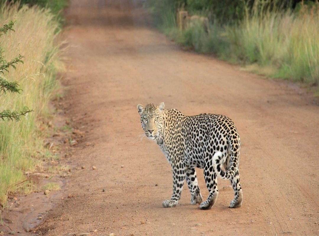 Top Picks: Recommended Resources and Content