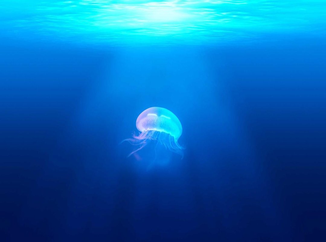 More Than a Game: The Benefits of Coloring