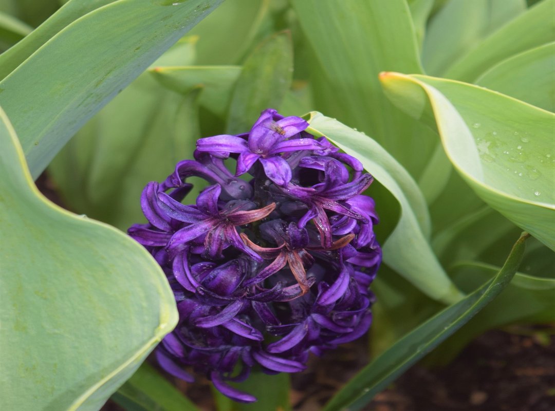 Madagascar travel guide