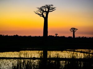 Madagascar travel guide