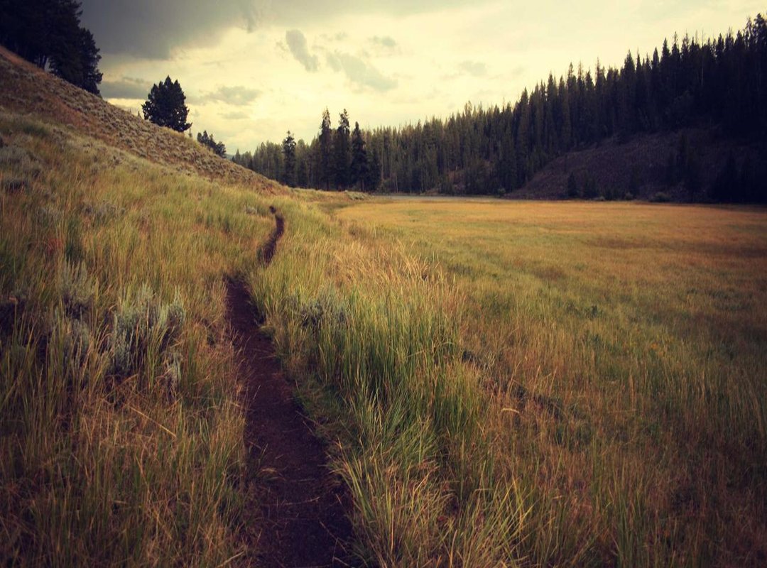 Wild Card for Volcanic Wonder: The Highlands, Iceland