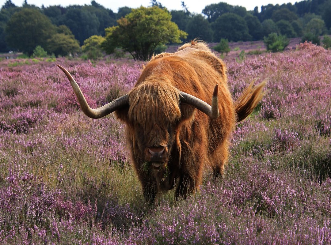 Scottish Highlands hidden gems