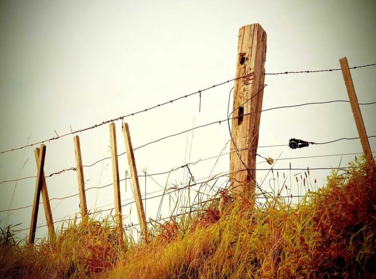 söpöjä piirustus ideoita