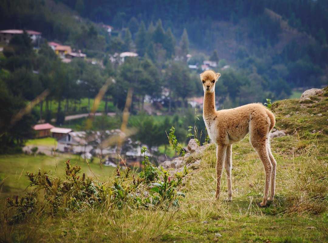 South America hidden gems