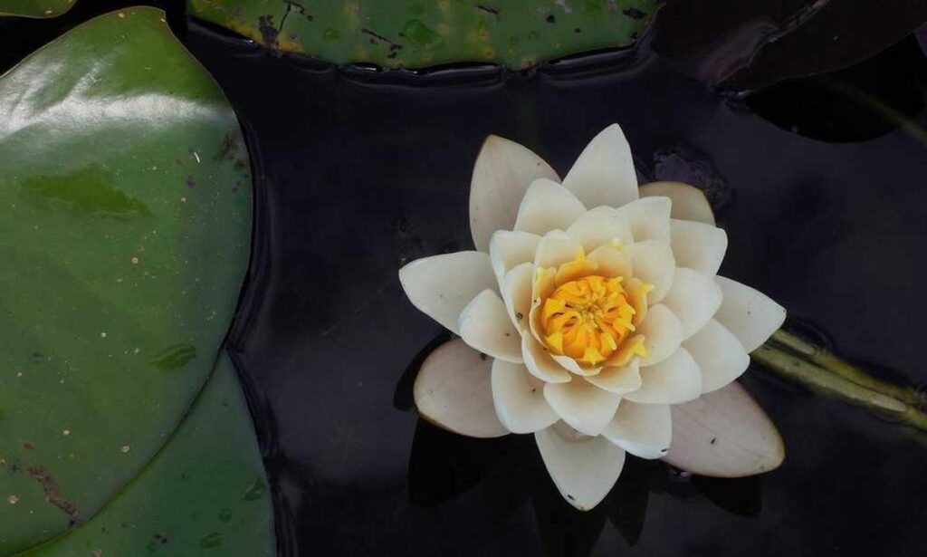 where to travel in france jexptravel